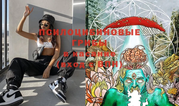 MESCALINE Няндома