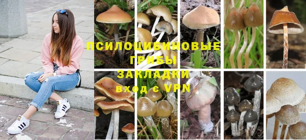 дмт Баксан
